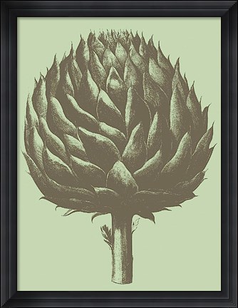 Framed Artichoke 11 Print