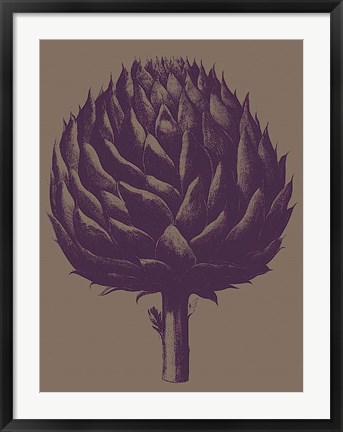 Framed Artichoke 14 Print