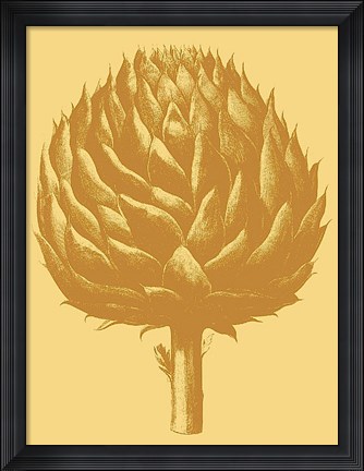 Framed Artichoke 19 Print