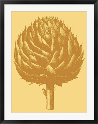 Framed Artichoke 19 Print