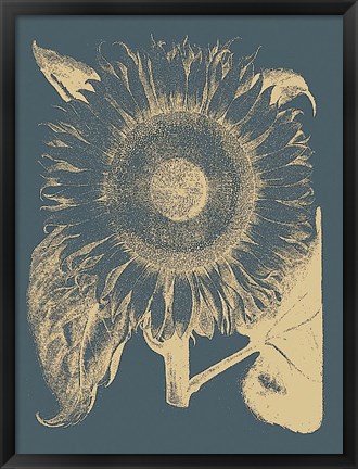 Framed Sunflower 2 Print