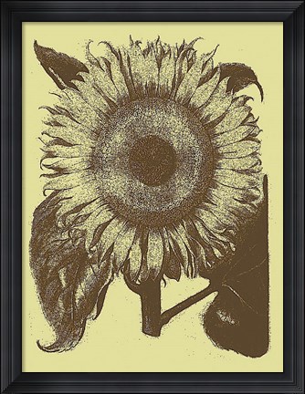 Framed Sunflower 4 Print