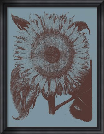 Framed Sunflower 5 Print