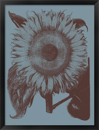 Framed Sunflower 5 Print