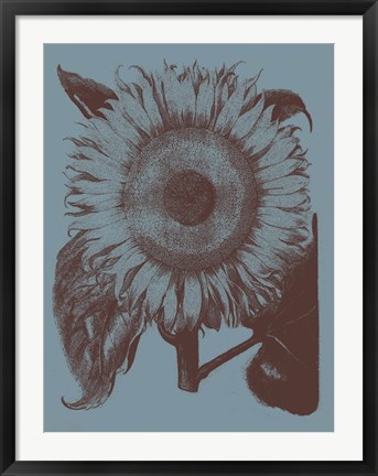 Framed Sunflower 5 Print