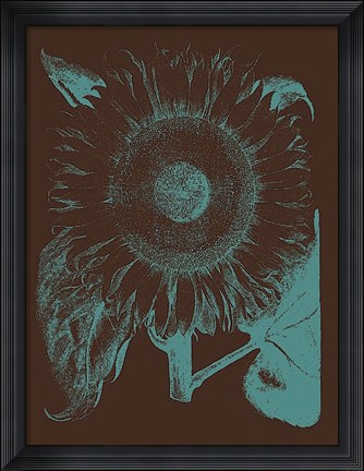 Framed Sunflower 6 Print