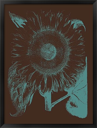 Framed Sunflower 6 Print