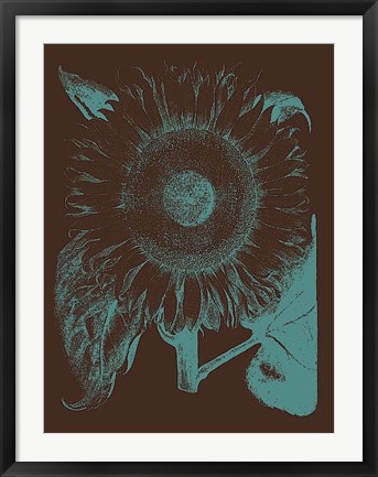 Framed Sunflower 6 Print