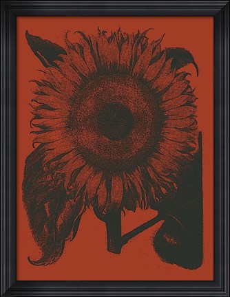 Framed Sunflower 9 Print