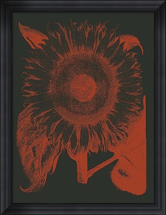 Framed Sunflower 10 Print