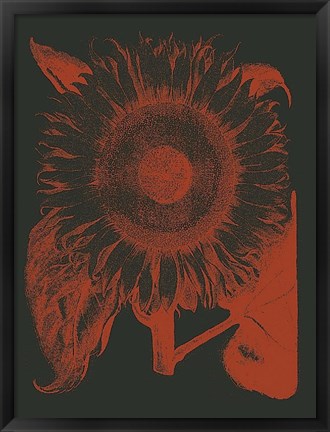 Framed Sunflower 10 Print
