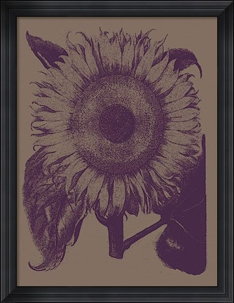 Framed Sunflower 14 Print