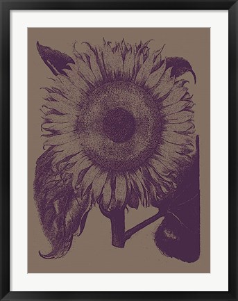 Framed Sunflower 14 Print