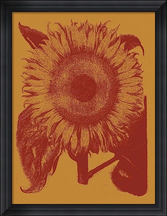 Framed Sunflower 15 Print