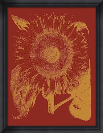 Framed Sunflower 16 Print