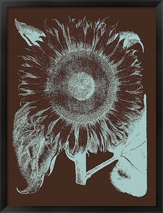 Framed Sunflower 17 Print