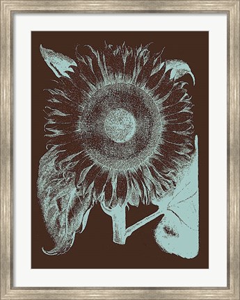 Framed Sunflower 17 Print