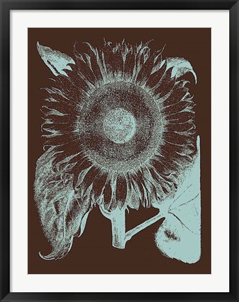 Framed Sunflower 17 Print