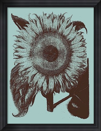 Framed Sunflower 18 Print