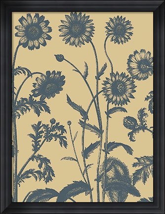 Framed Chrysanthemum 1 Print