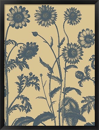 Framed Chrysanthemum 1 Print