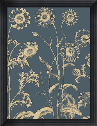 Framed Chrysanthemum 2 Print