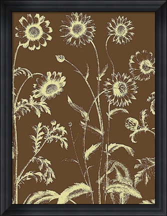 Framed Chrysanthemum 3 Print