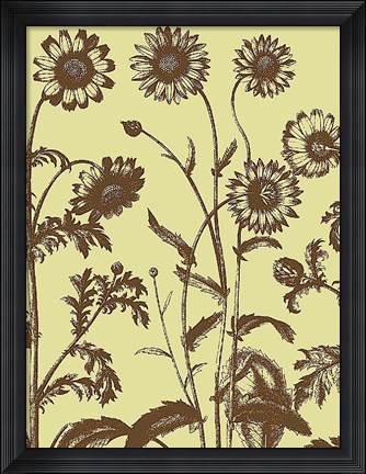 Framed Chrysanthemum 4 Print