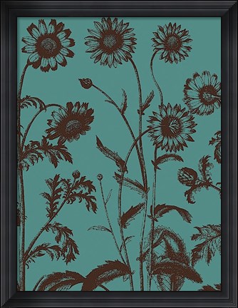 Framed Chrysanthemum 5 Print