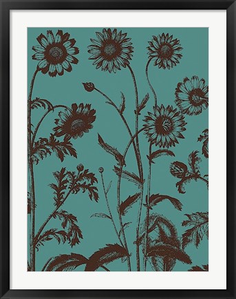 Framed Chrysanthemum 5 Print