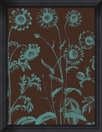 Framed Chrysanthemum 6 Print