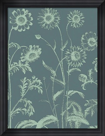 Framed Chrysanthemum 7 Print