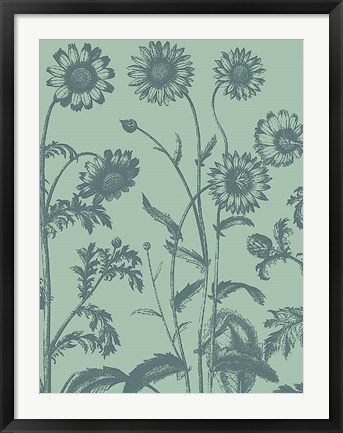 Framed Chrysanthemum 8 Print