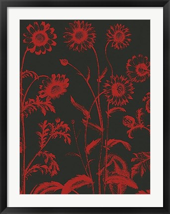 Framed Chrysanthemum 10 Print