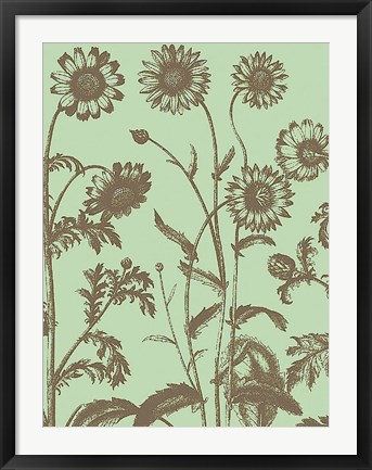 Framed Chrysanthemum 11 Print