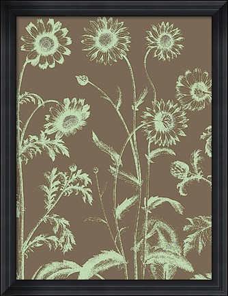 Framed Chrysanthemum 12 Print