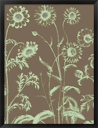 Framed Chrysanthemum 12 Print
