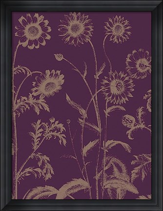 Framed Chrysanthemum 13 Print