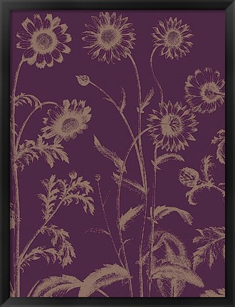 Framed Chrysanthemum 13 Print