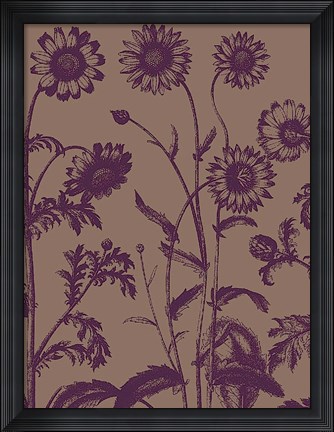 Framed Chrysanthemum 14 Print
