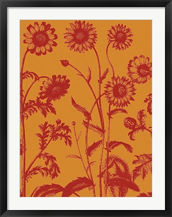 Framed Chrysanthemum 15 Print