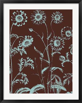 Framed Chrysanthemum 17 Print