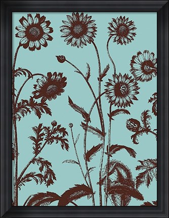 Framed Chrysanthemum 18 Print