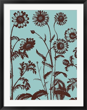 Framed Chrysanthemum 18 Print