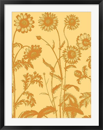Framed Chrysanthemum 19 Print