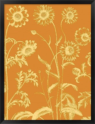 Framed Chrysanthemum 20 Print