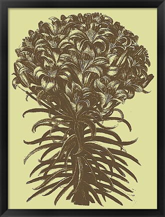 Framed Lilies 4 Print