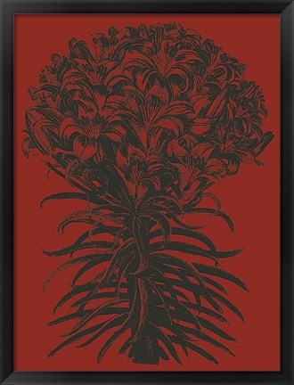 Framed Lilies 9 Print