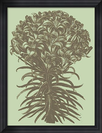Framed Lilies 11 Print