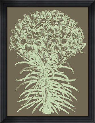 Framed Lilies 12 Print